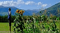 2017-09-07_145852 trentino-suedtirol-2017